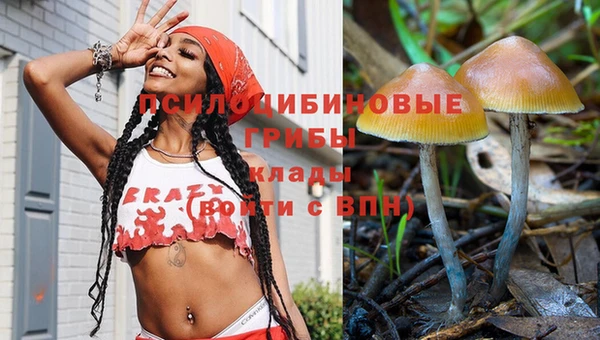 синтетический гашиш Бикин