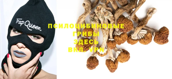 синтетический гашиш Бикин