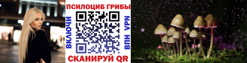 Псилоцибиновые грибы мицелий  как найти   MEGA сайт  Змеиногорск 